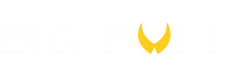 Logo BigBull